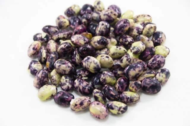 紫色の丹波黒枝豆